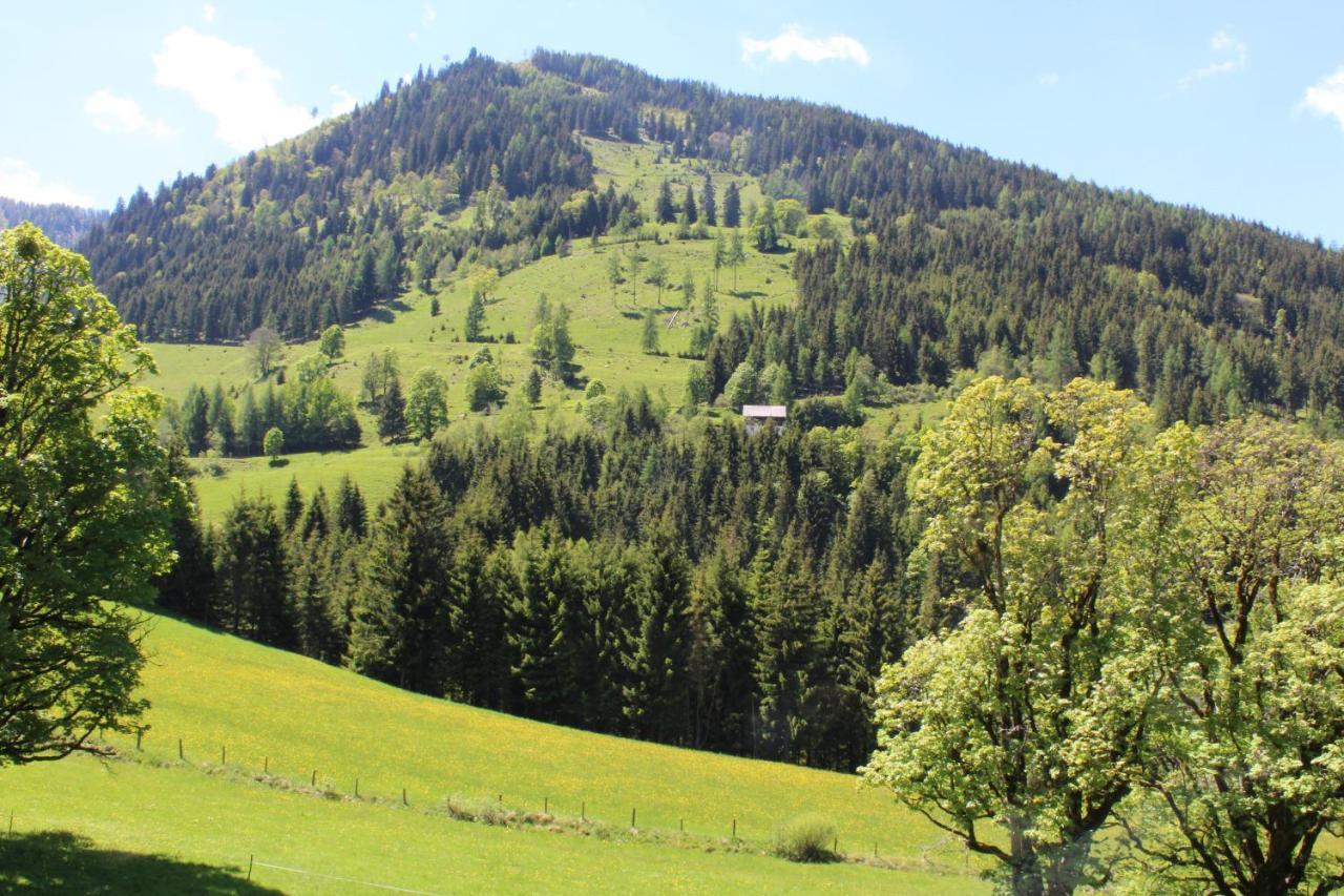 Zauneralm آيش المظهر الخارجي الصورة