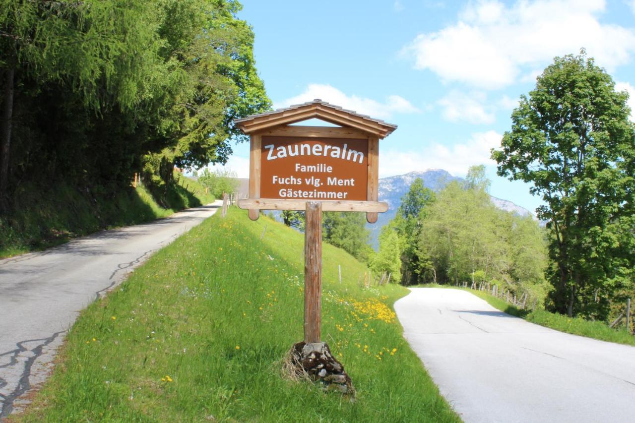 Zauneralm آيش المظهر الخارجي الصورة