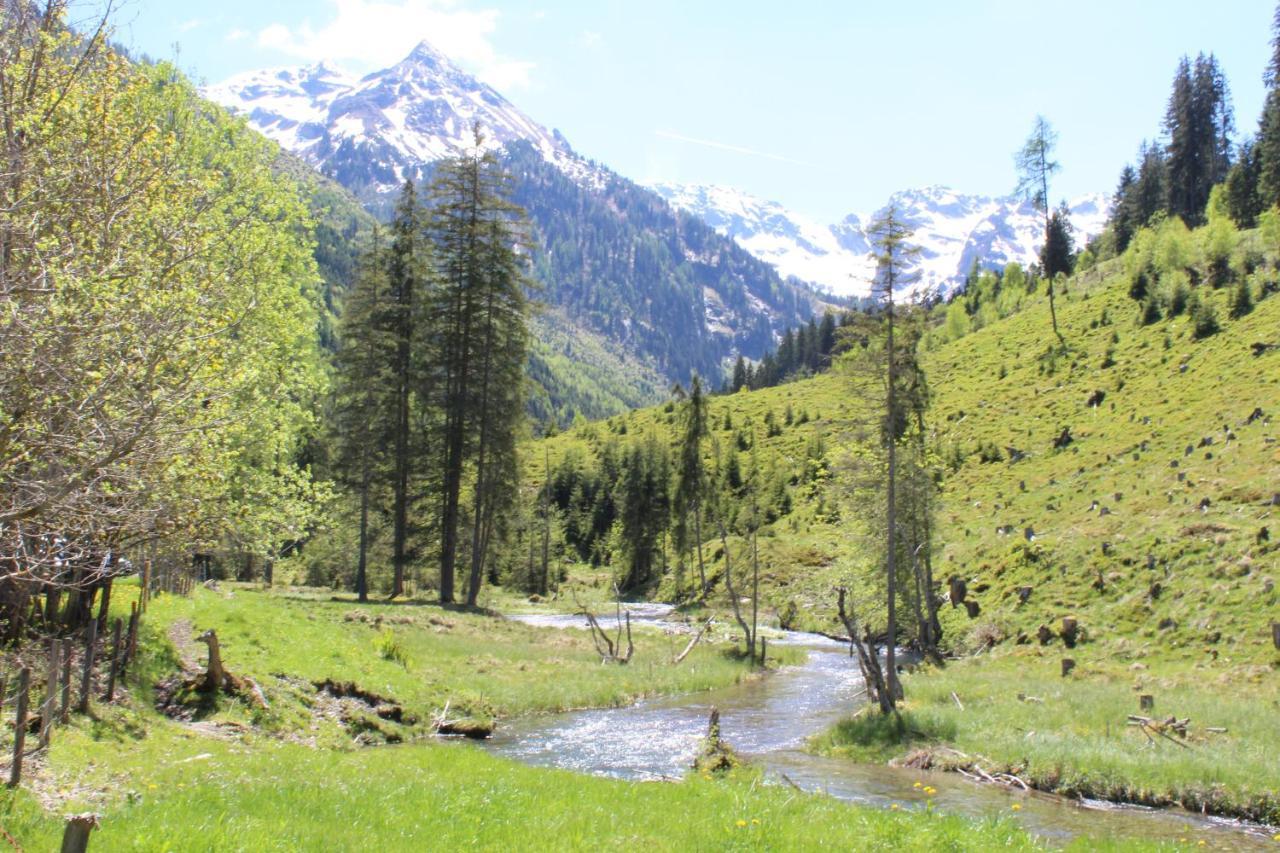 Zauneralm آيش المظهر الخارجي الصورة